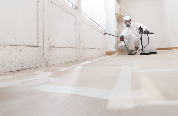 24/7 Emergency Attic Mold Removal experts in Haddon Heights, NJ