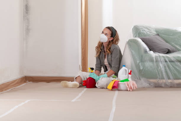 Reliable Attic Mold Removal contractor in Haddon Heights, NJ by WQB Mold Removal